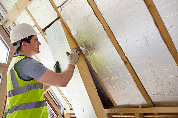 Best Geographic-Specific Insulation Services in West Pleasant View, CO
